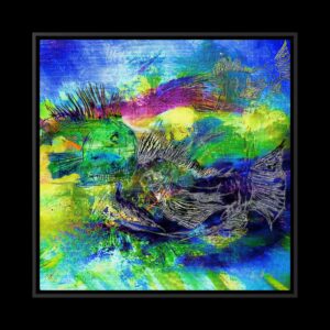 Cosmic Fish III